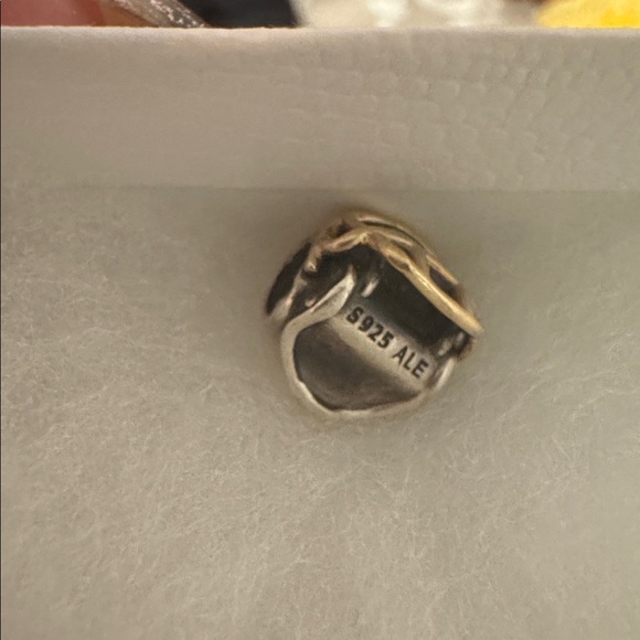 Pandora Seahawks helmet charm - Picture 3 of 4